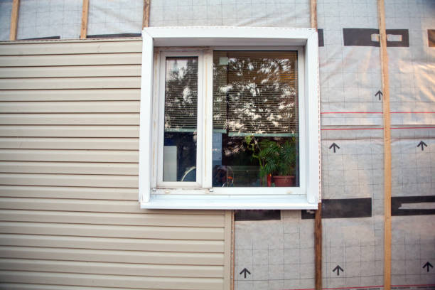 Best Same-Day Junk Removal Services  in Elkader, IA